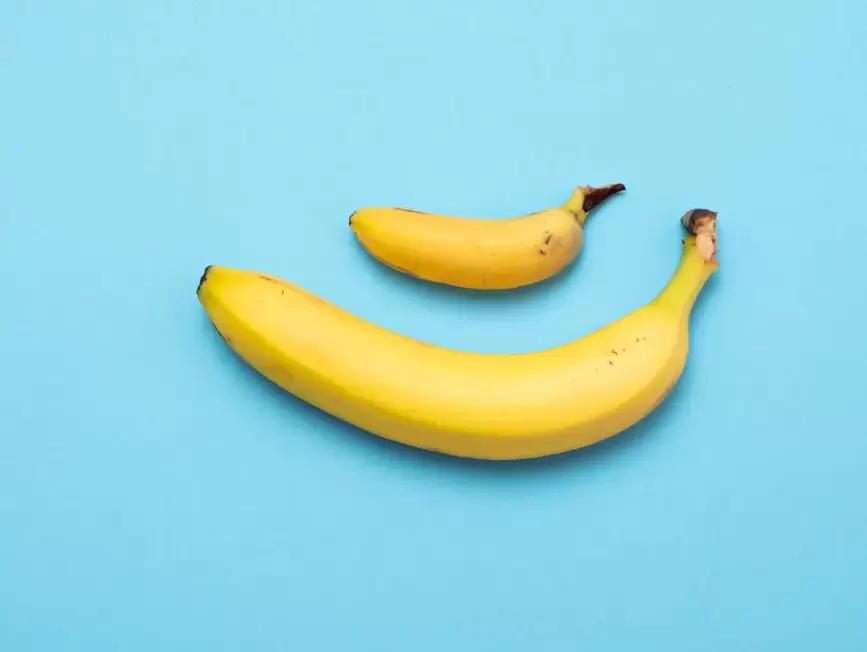 majhen in povečan penis s pompom na primeru banan